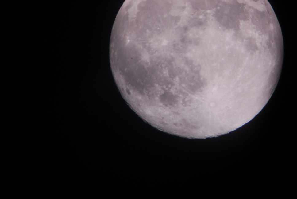 月面ちゅうがえり