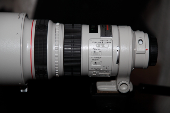 サンニッパ　スイッチUP