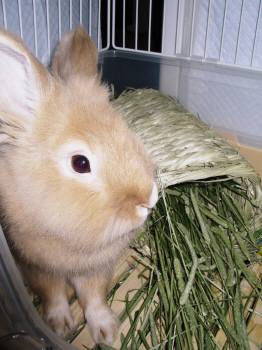 トンネルの使い方。