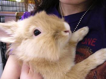 虎次もだっこ♪