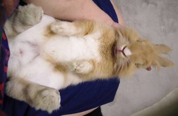 ちょっとはずかしい・・・