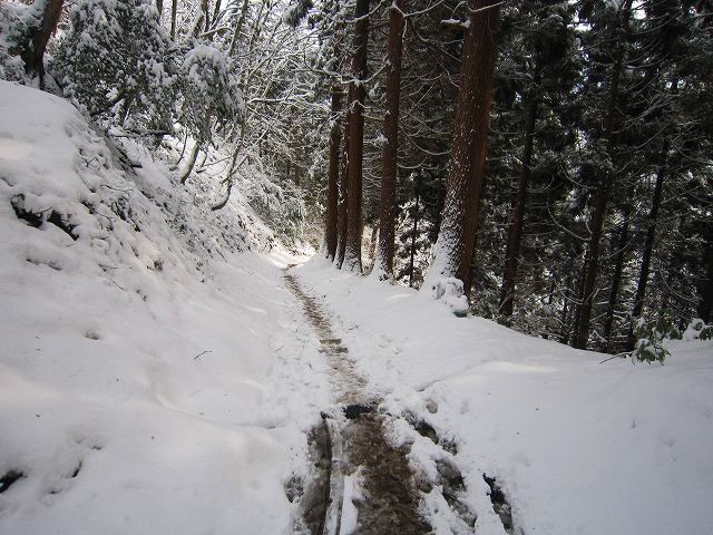 c-IMG_3070.jpg