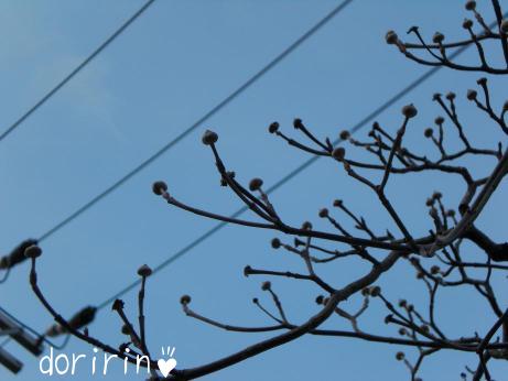 ２月４日の空