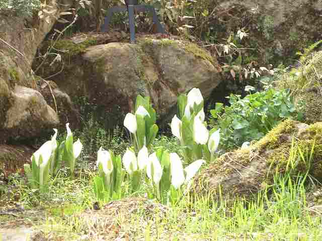 食事個室からの風景