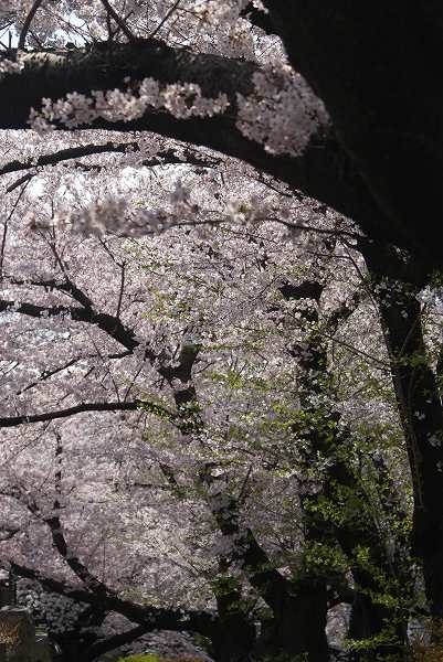 h210405 (100).jpg