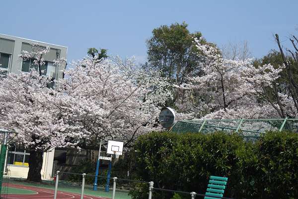 h210405 (344).jpg