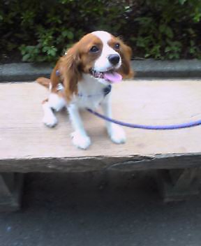 ベンチの上で＾＾