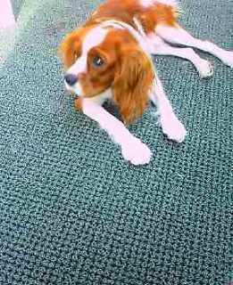 僕のぱんつどこー？