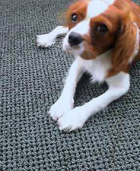 ベランダにて～