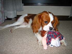 むしゃむしゃ。