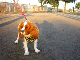 ちょっとオトナ顔