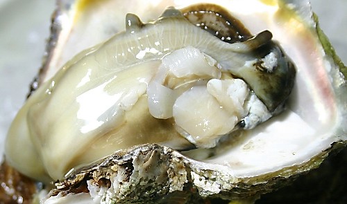 岩牡蠣.jpg