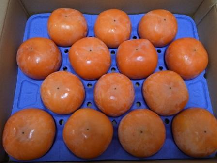 R0058529 - コピー.JPG