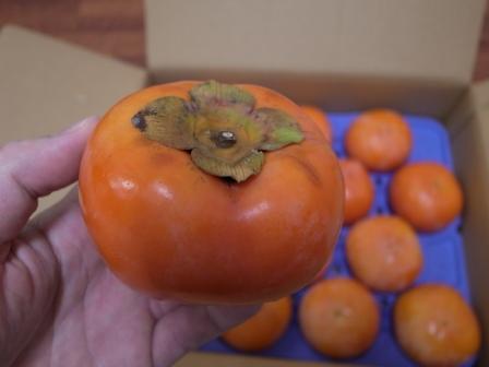 R0058531 - コピー.JPG