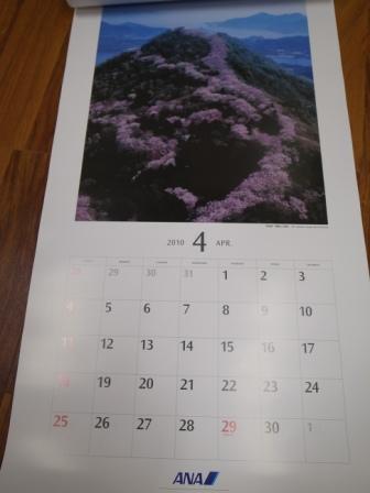 R0058334 - コピー.JPG