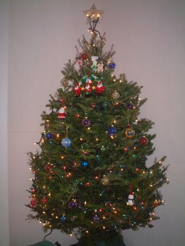 tree1