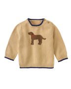 t_JJ Labrador Dog Sweater