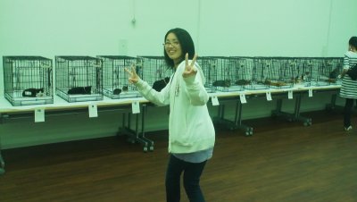 横浜市動物愛護センターの猫の譲渡会