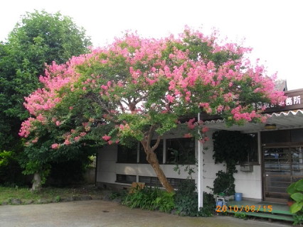 20100815