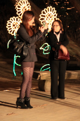 足利フラワーパーク・イルミネーション　28