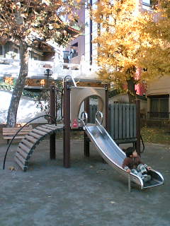 07-12-10_12-55.jpg
