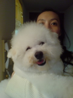 デビーウィニー