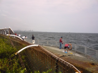 海釣り１