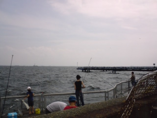 海釣り２