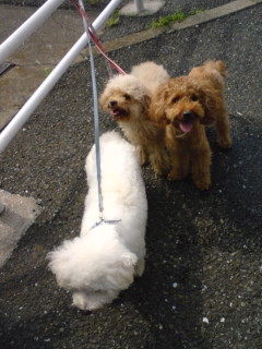 どこいくの？２