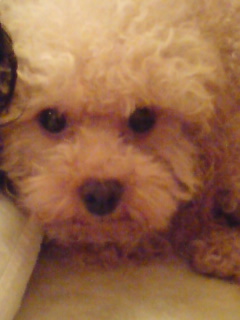 起こさないでよ！