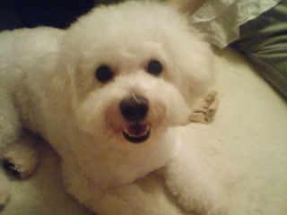 ウィニートリミング２