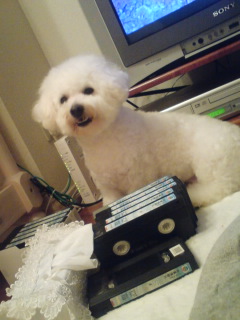 ウィニートリミング３