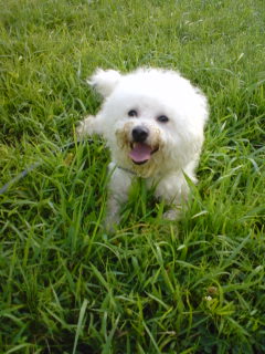 スマイルウィニーちゃん