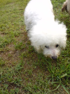 もそもそうにぃー