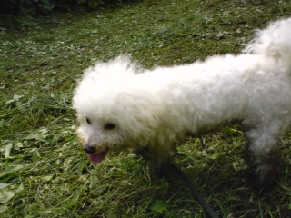 泥んこうにぃー