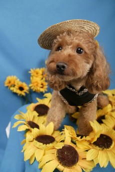 テディーちゃん記念撮影