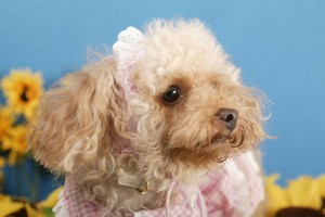 バービーちゃん記念撮影