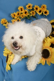 ウィニーちゃん記念撮影