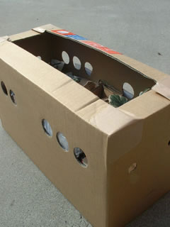 「イングの森」から苗到着