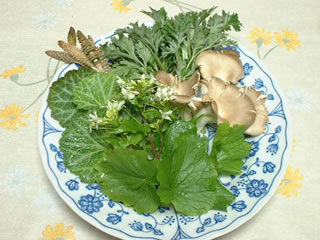 ユキノシタの天ぷら