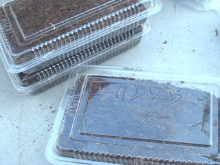 レビュー　みちのくふるさと便