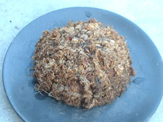 オキザリス オマーの根洗風仕立て（制作直後）