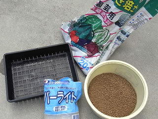 育苗箱で石倉ネギの種まき