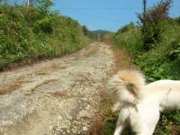 山道