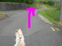 道