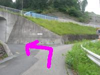 道