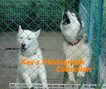 お前だれやｂｙR&S