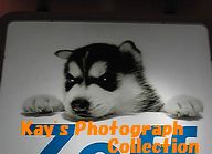 赤ちゃんルーク