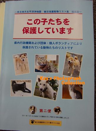 福島保護犬猫リスト