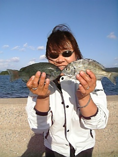 どちらも２５ｃｍ.jpg